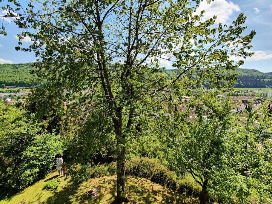 Studiowohnung Schwabenalb Mit Panoramablick Albstadt Buitenkant foto